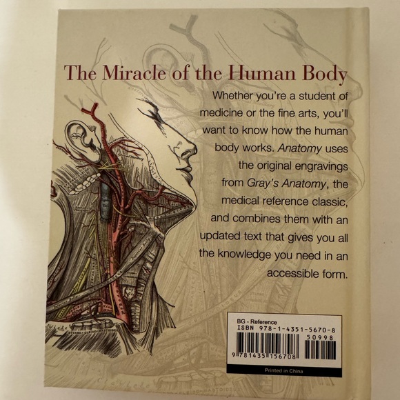 Anatomy by Christopher Joseph - Picture 3 of 3